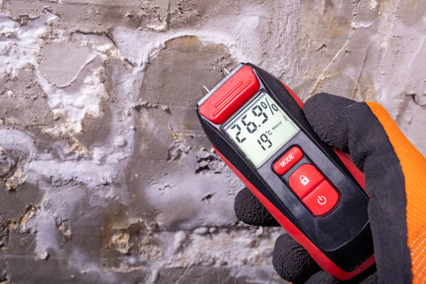 Best Mold Remediation  in Mayer, AZ