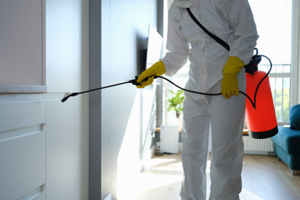 Best Office Mold Removal Services  in Mayer, AZ