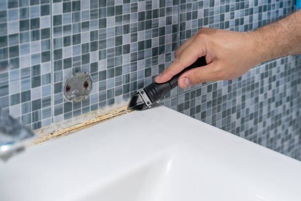 Certified Mold Removal in Mayer, AZ